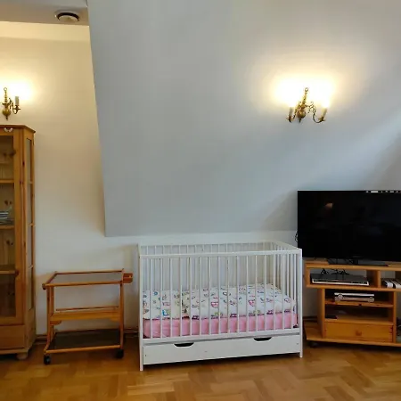Apartament W Centrum Przy Kominku Apartment Zakopane