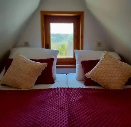 Apartament W Centrum Przy Kominku Apartment Zakopane
